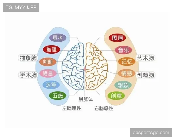B费的顶级中场成色：组织效率与关键战决定力解析